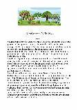 UN SOUVENIR D ENFANCE (1)